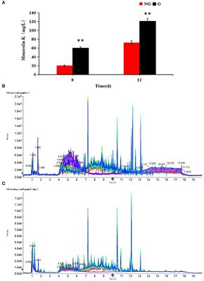 Metabolomics Analysis of the Effect of Glutamic Acid on Monacolin K Synthesis in <mark class="highlighted">Monascus</mark> purpureus